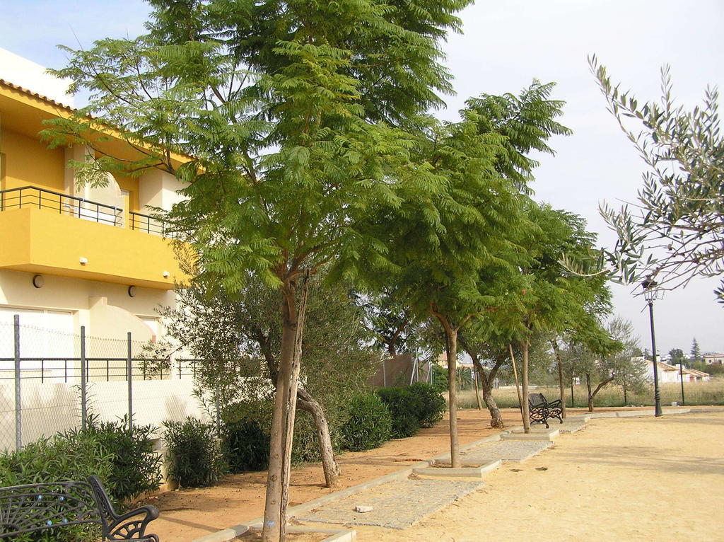 אספרטינס Apartamentos Turisticos Los Girasoles מראה חיצוני תמונה